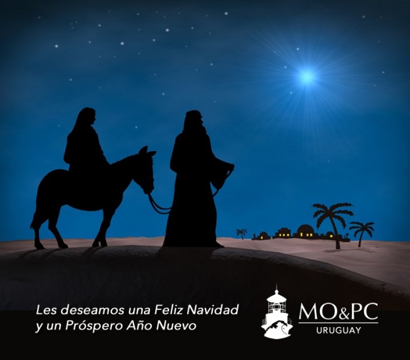 FELIZ NAVIDAD Y LO MEJOR PARA EL 2019 !