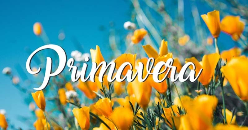 LLEGO LA PRIMAVERA !!!!!!